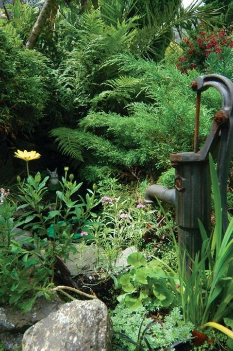 Croft House B&B Lynton Bagian luar foto